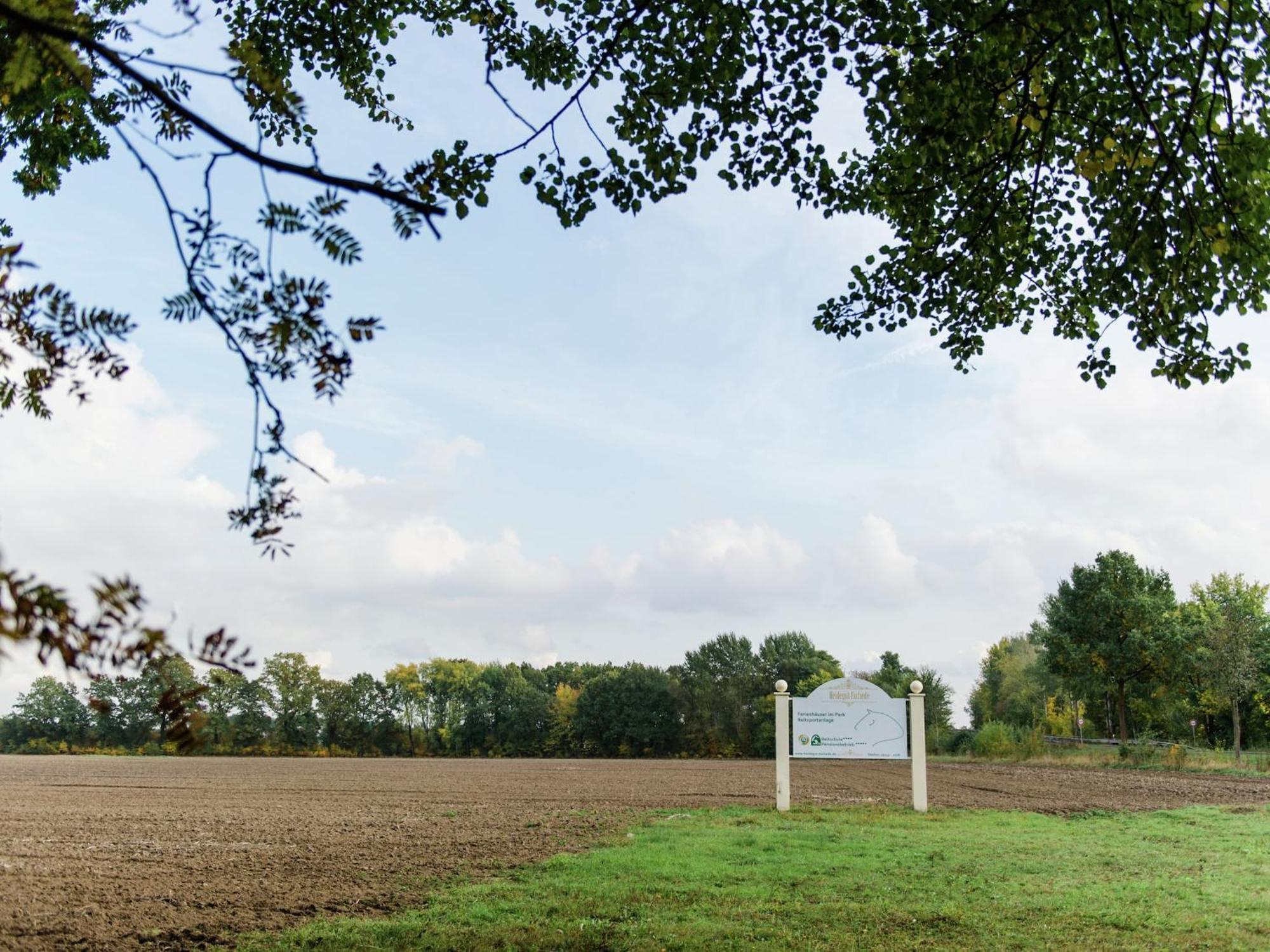 Cozy Holiday Home On A Horse Farm In The L Neburg Heath Eschede Exteriér fotografie