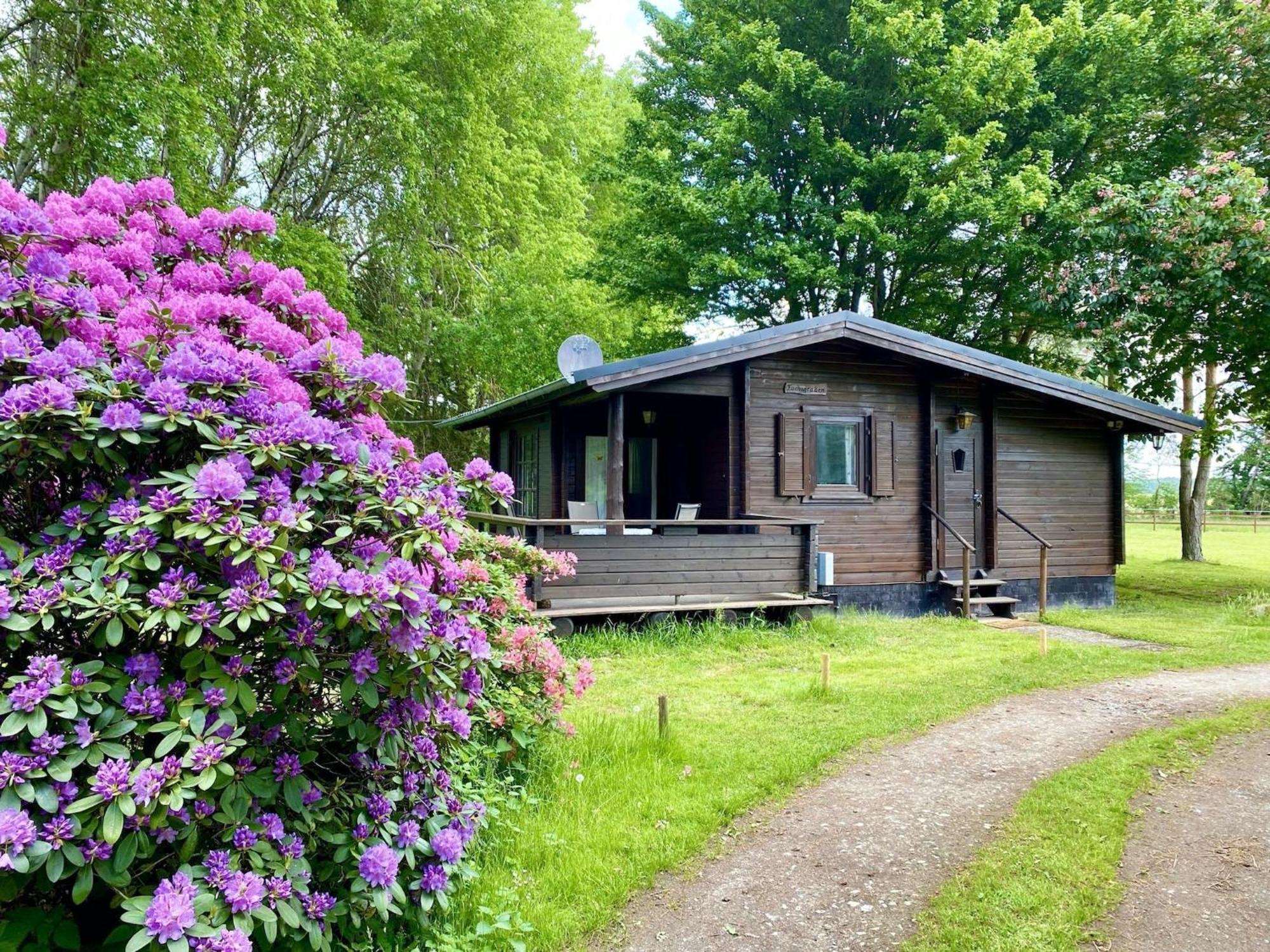Cozy Holiday Home On A Horse Farm In The L Neburg Heath Eschede Exteriér fotografie