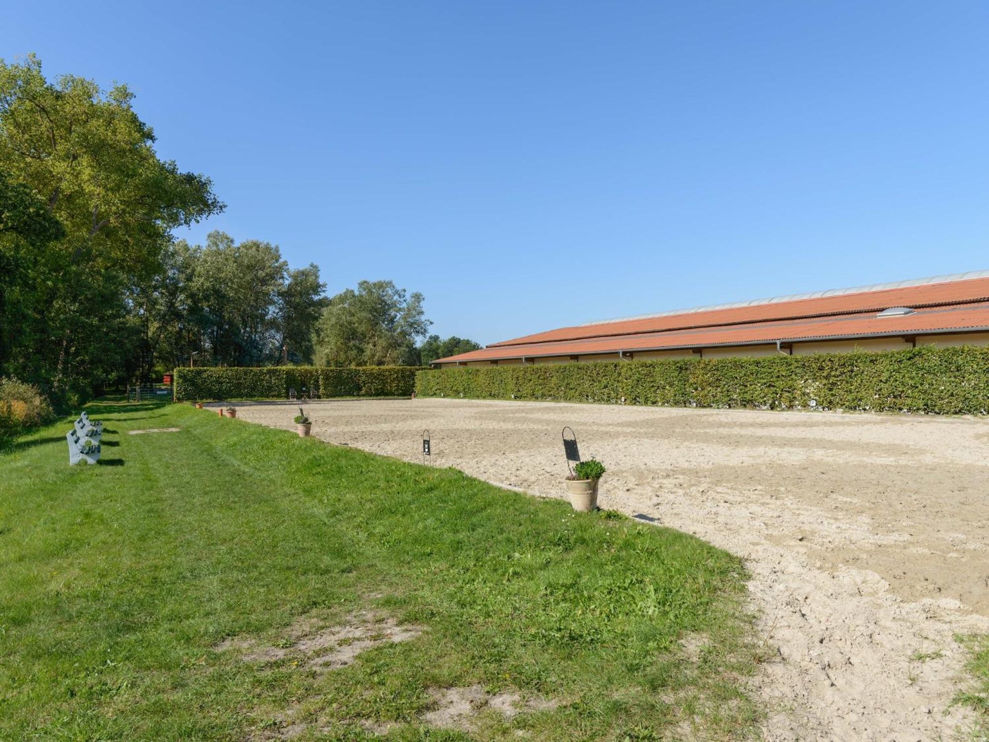 Cozy Holiday Home On A Horse Farm In The L Neburg Heath Eschede Exteriér fotografie
