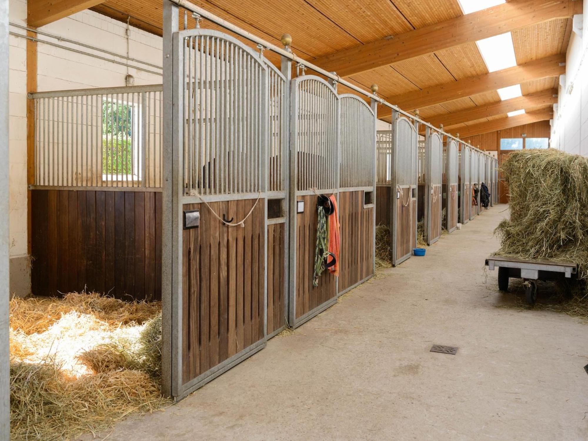 Cozy Holiday Home On A Horse Farm In The L Neburg Heath Eschede Exteriér fotografie