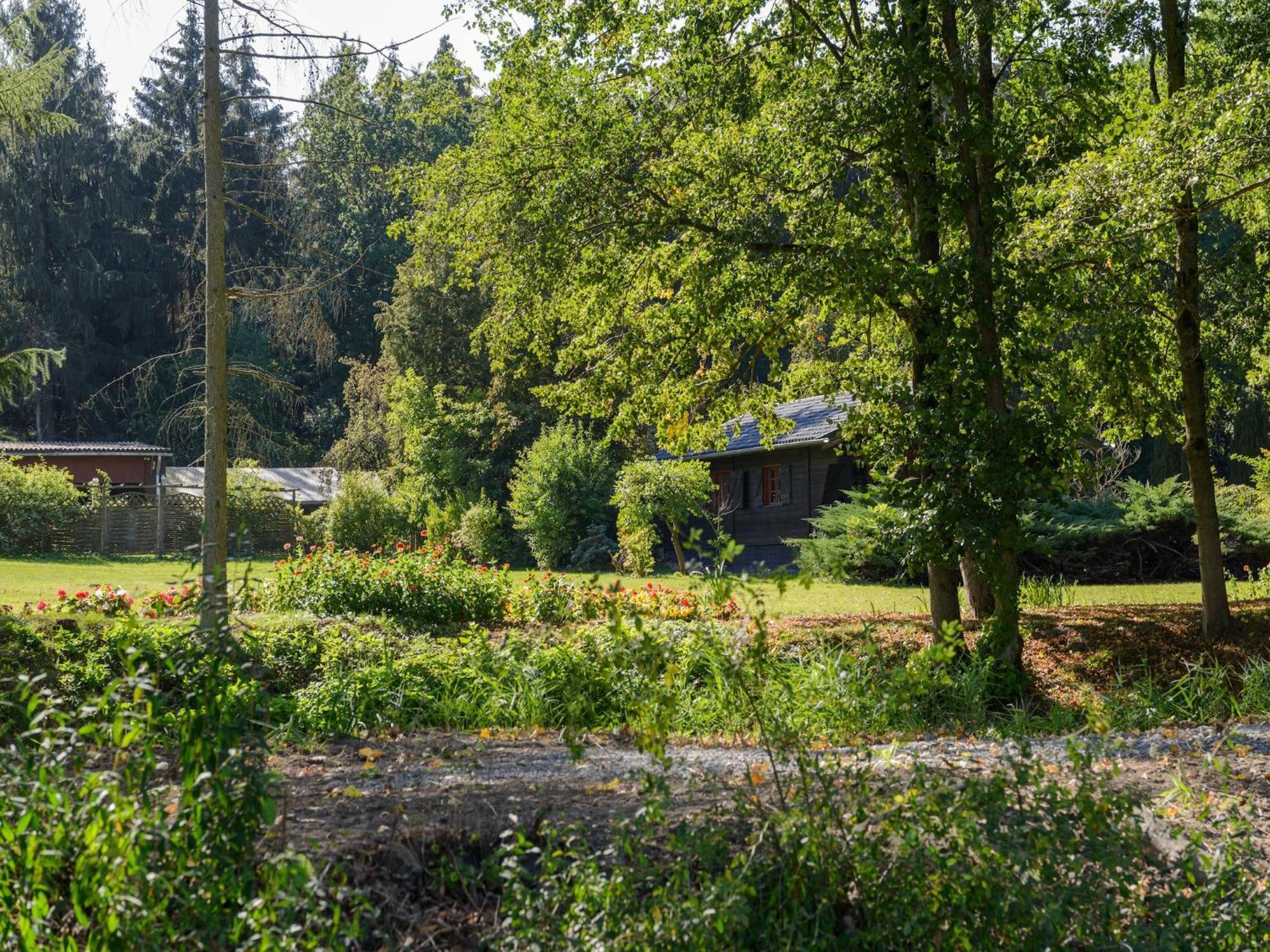 Cozy Holiday Home On A Horse Farm In The L Neburg Heath Eschede Exteriér fotografie