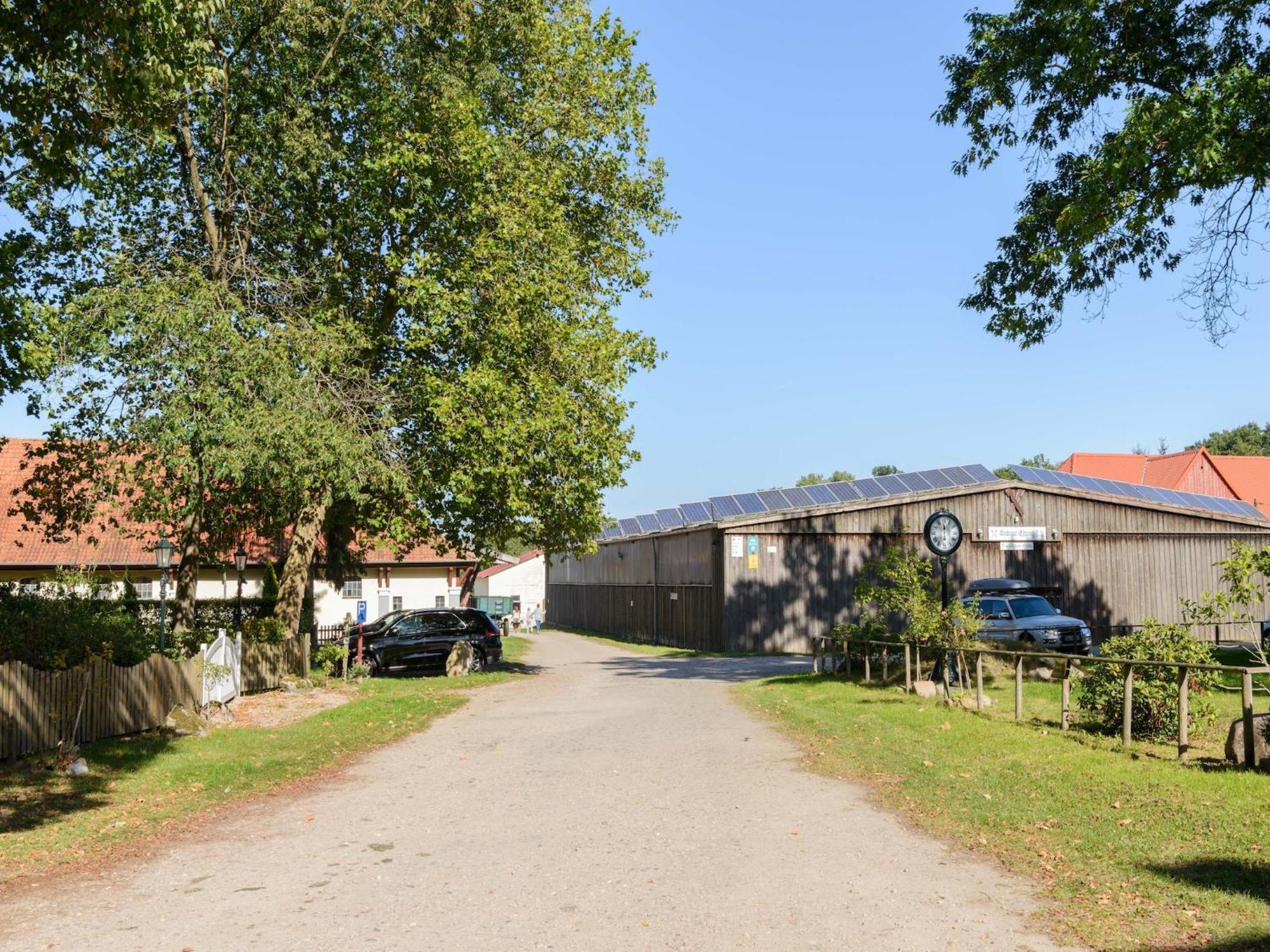 Cozy Holiday Home On A Horse Farm In The L Neburg Heath Eschede Exteriér fotografie