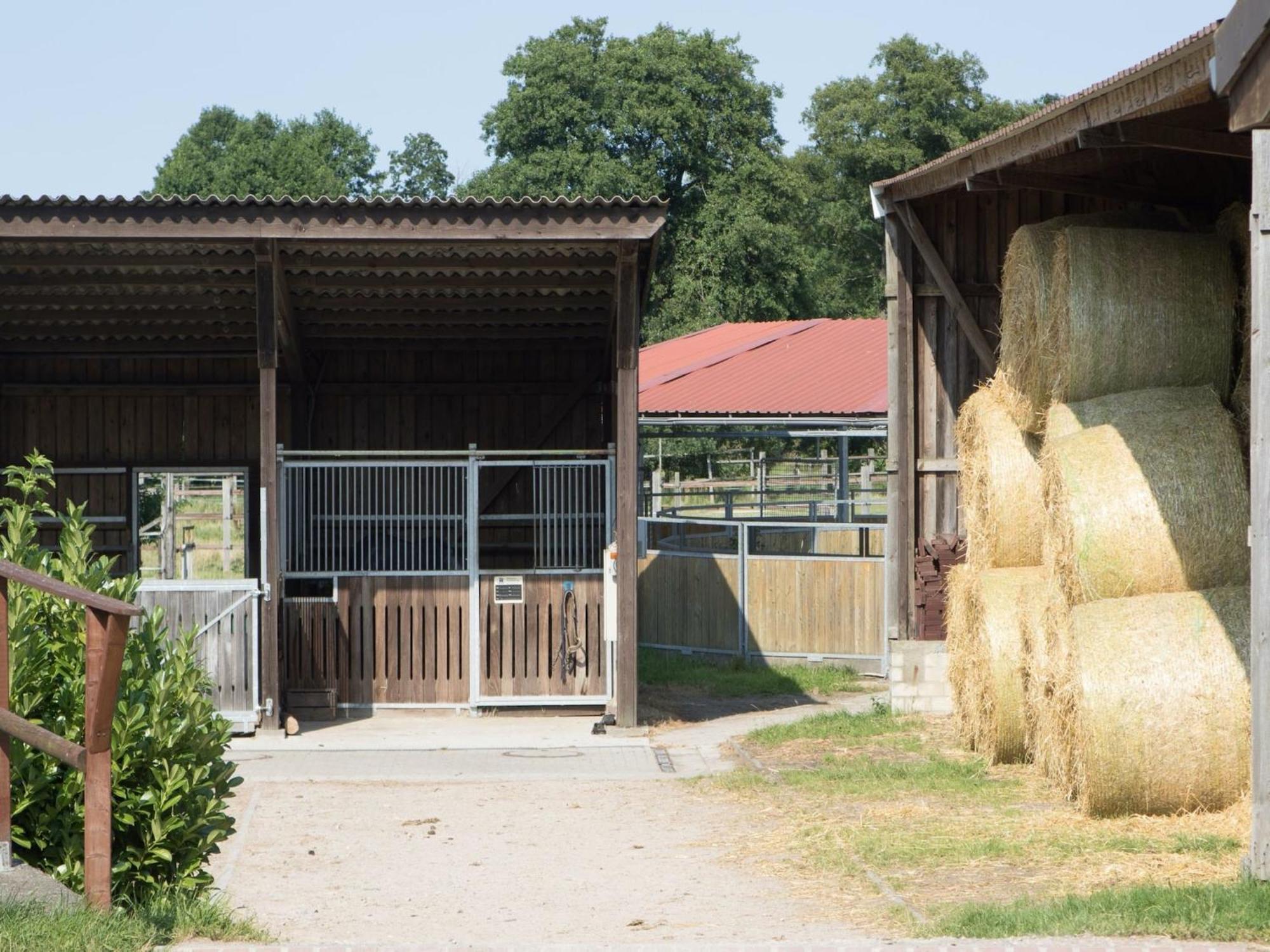Cozy Holiday Home On A Horse Farm In The L Neburg Heath Eschede Exteriér fotografie